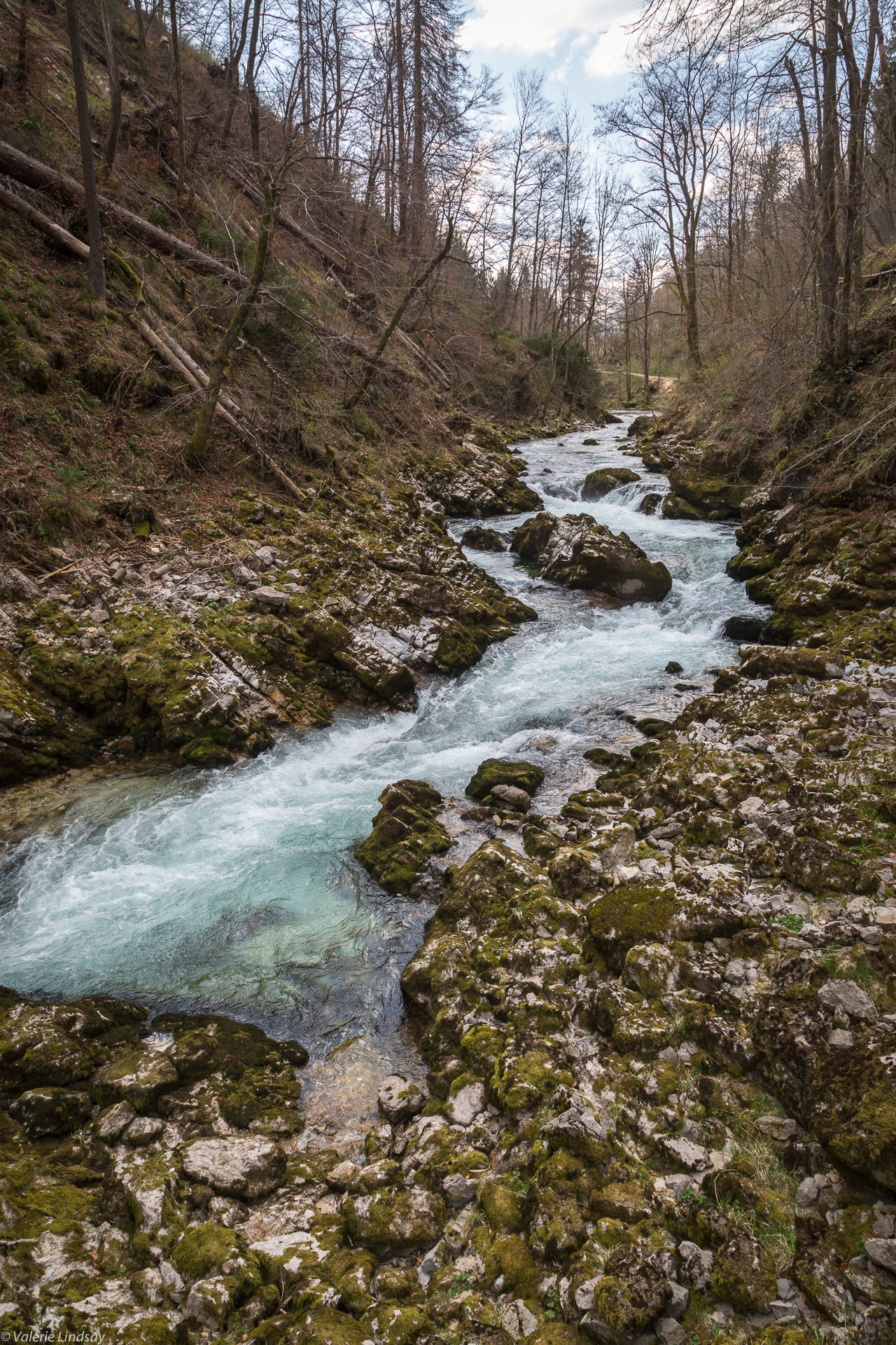 Mountain stream in Slovenia-1