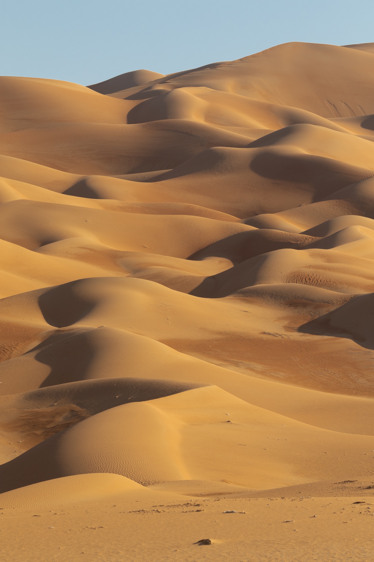 Shapes of sand dunes