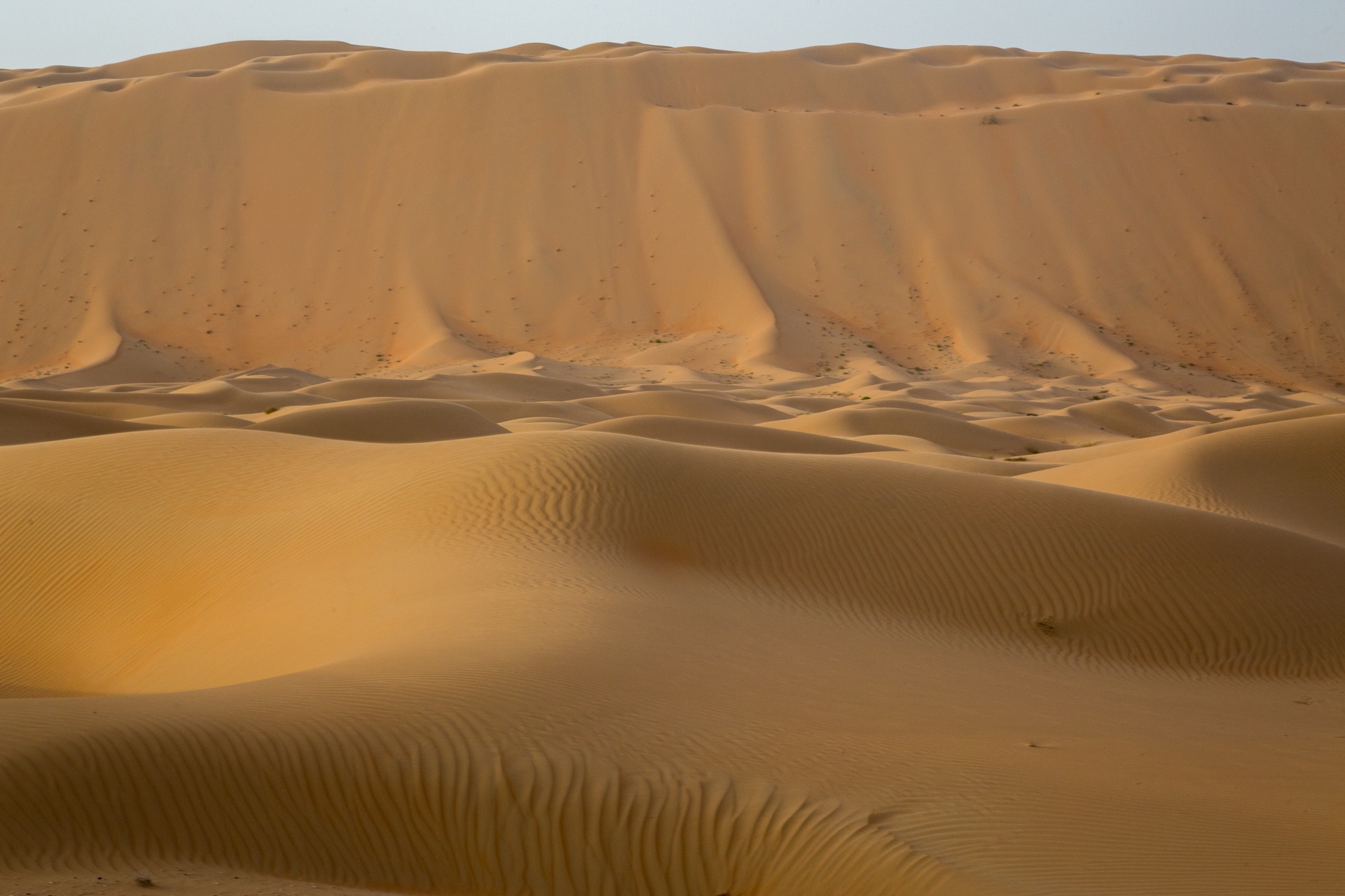 Sand dune formations